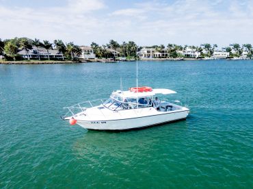 All In Deep Sea Fishing Charters thumbnail