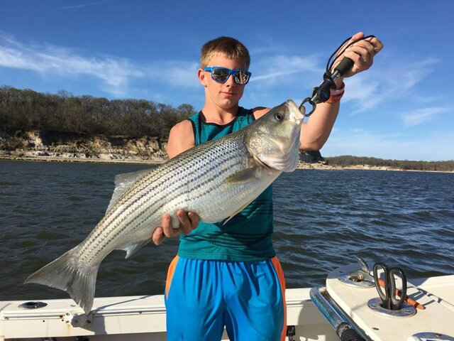 Listing image 254467