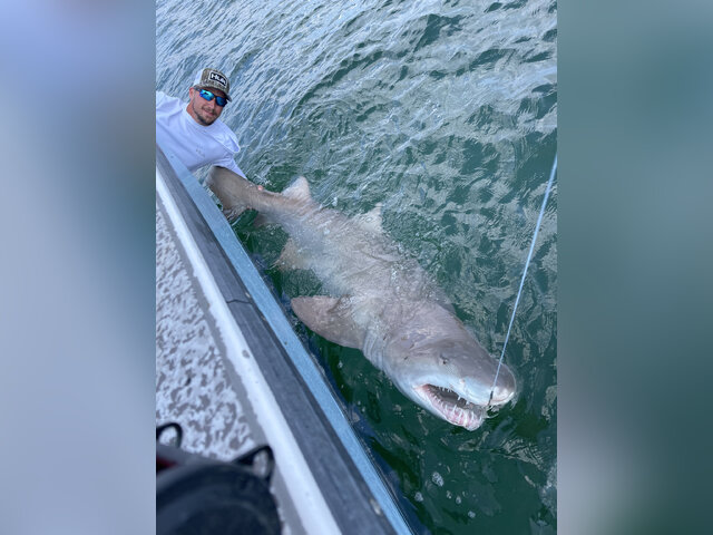 Listing image 1010772