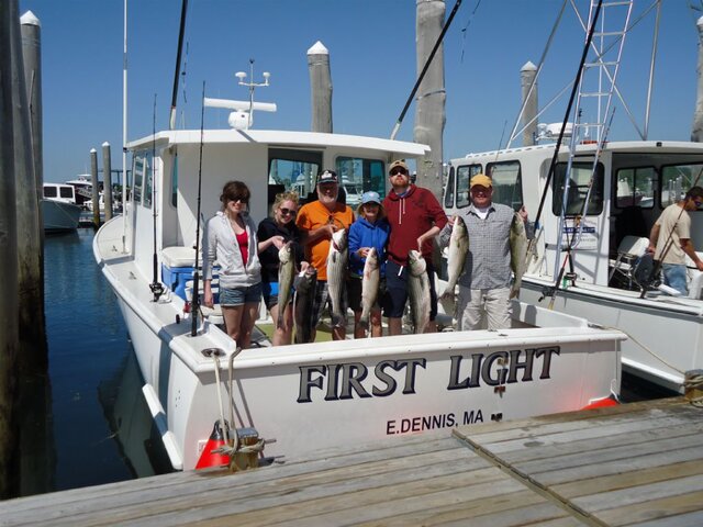 Listing image 267376