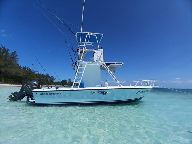 Listing image 1011072