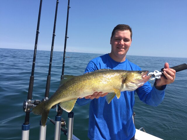 Listing image 269394