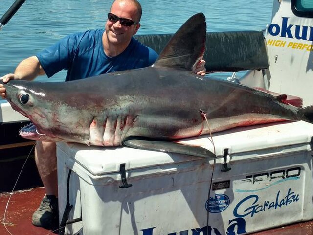 Listing image 260511