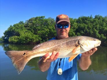 Flat Satisfied thumbnail