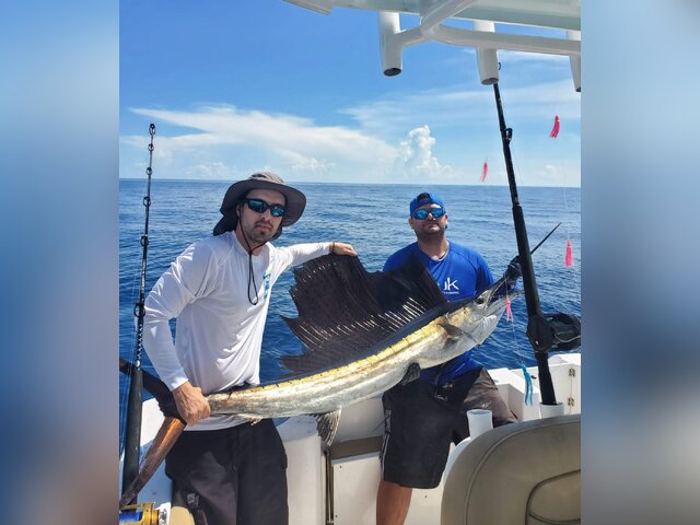 Listing image 395237