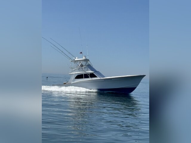 Listing image 1172691