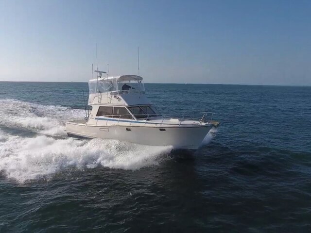 Listing image 330247