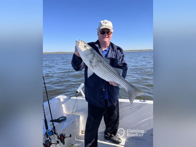 Listing image 1069117