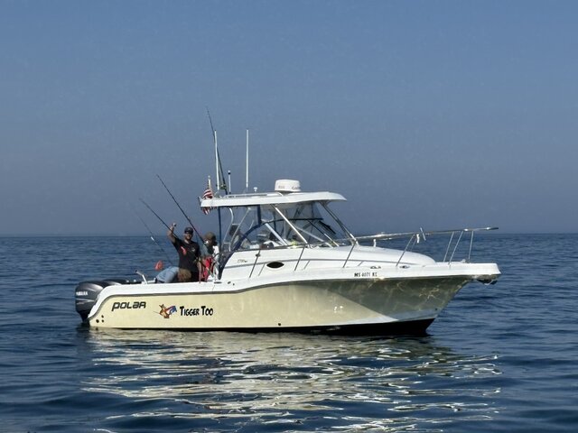 Listing image 1380238