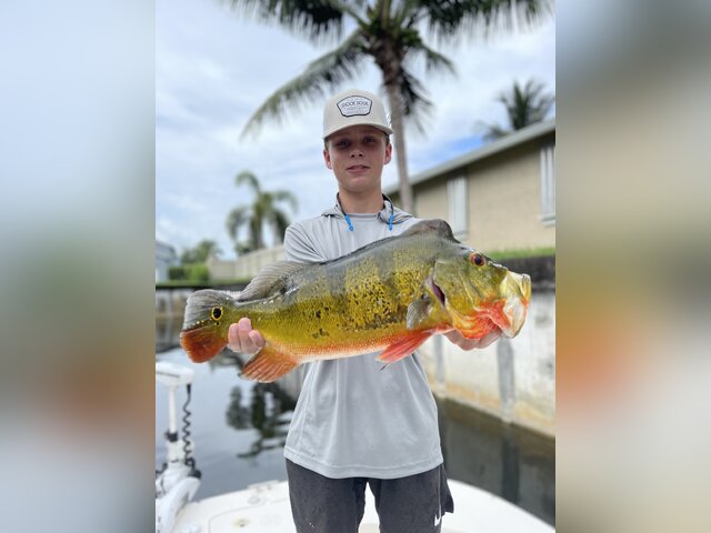 Listing image 612524