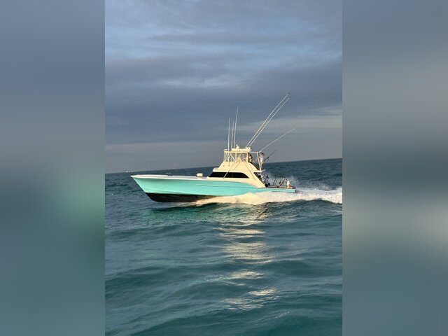 Listing image 1145354