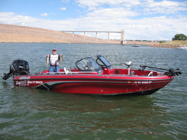 Listing image 266338