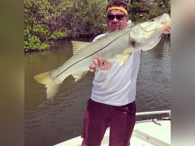 Listing image 282333