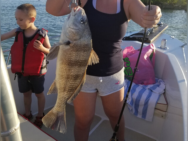 Listing image 427366