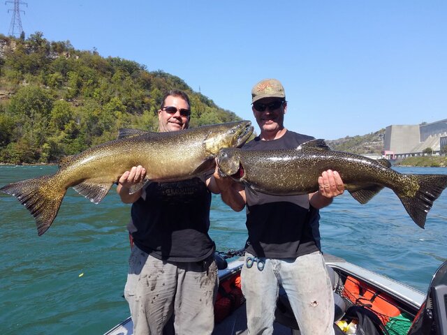 Listing image 268881