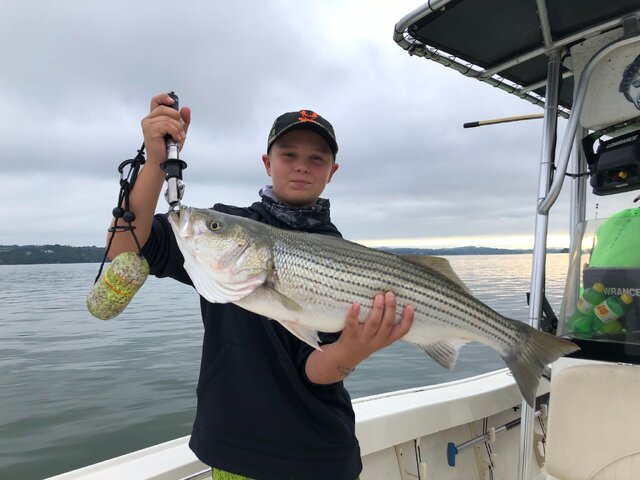 Listing image 269392