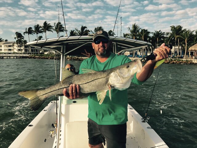 Listing image 273143