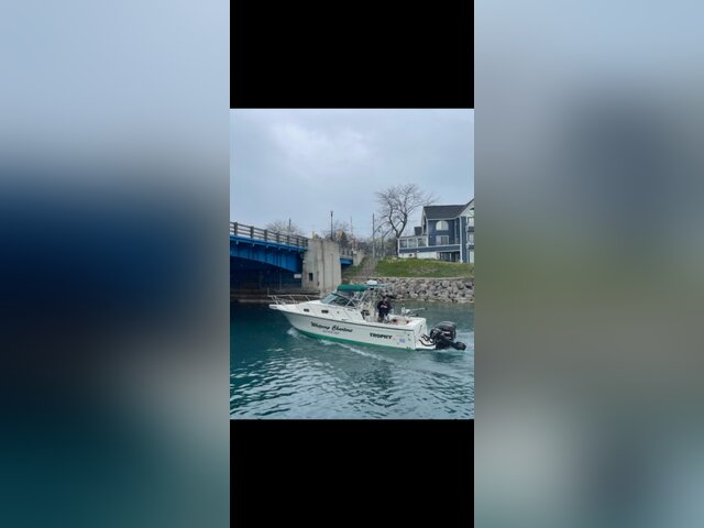 Listing image 1197141