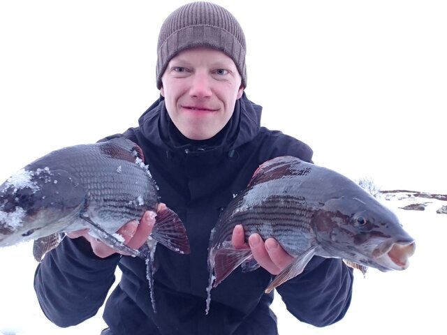 Listing image 274741