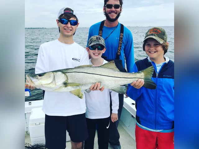 Listing image 347108