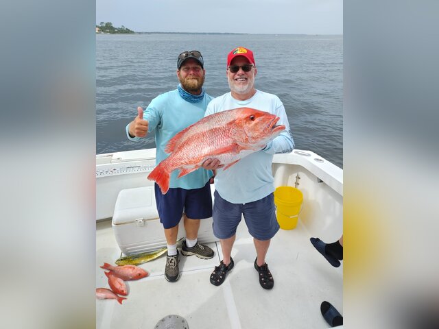 Listing image 849565