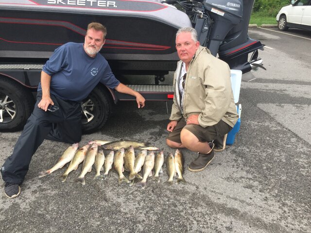 Listing image 827812