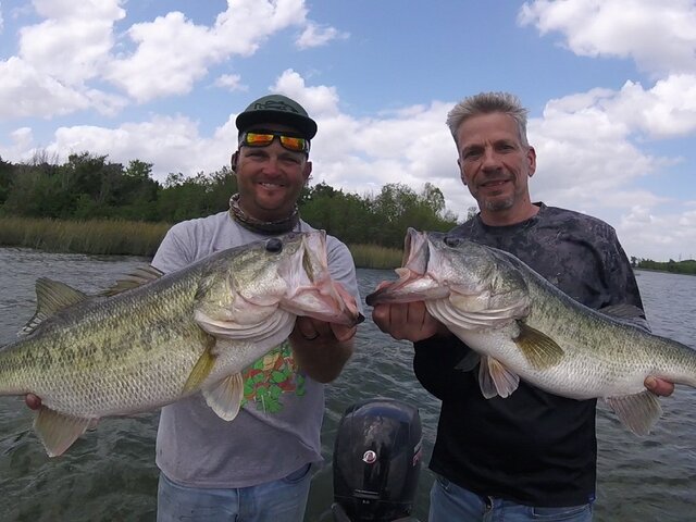 Listing image 1241403