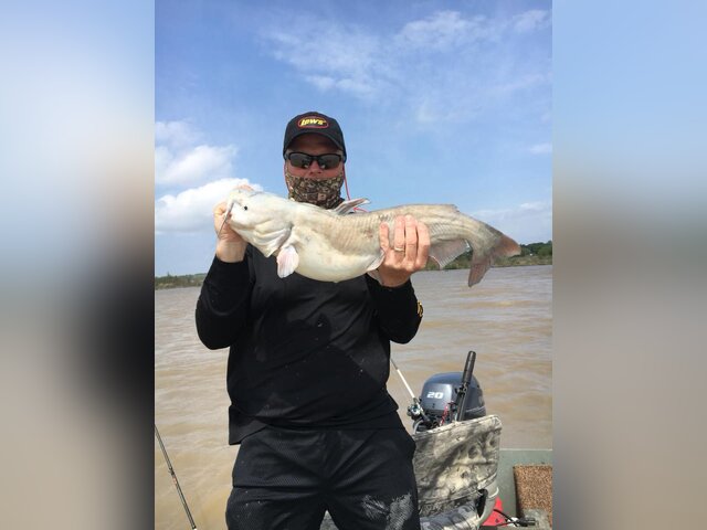 Listing image 278599