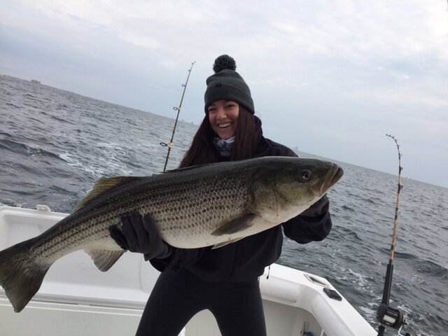 Listing image 287950