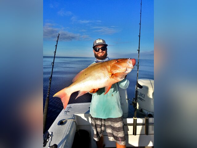 Listing image 279224