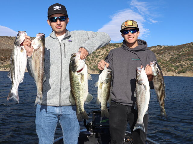 Listing image 1002655