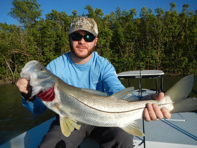 Listing image 283602