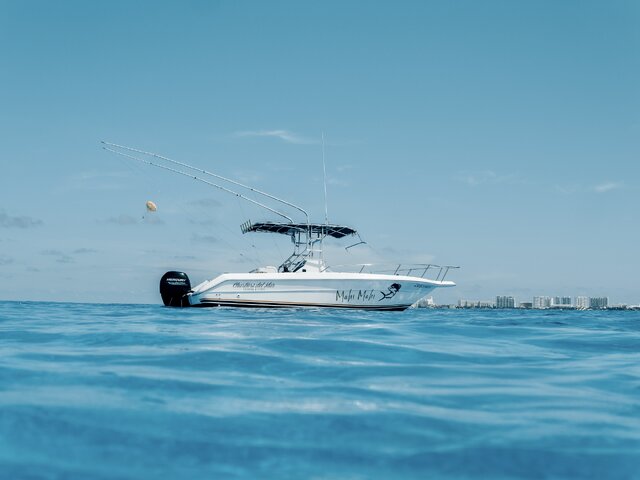 Listing image 761871