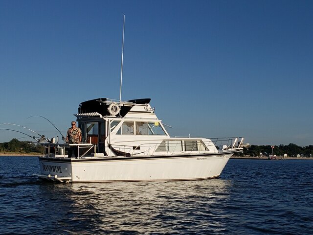 Listing image 286477