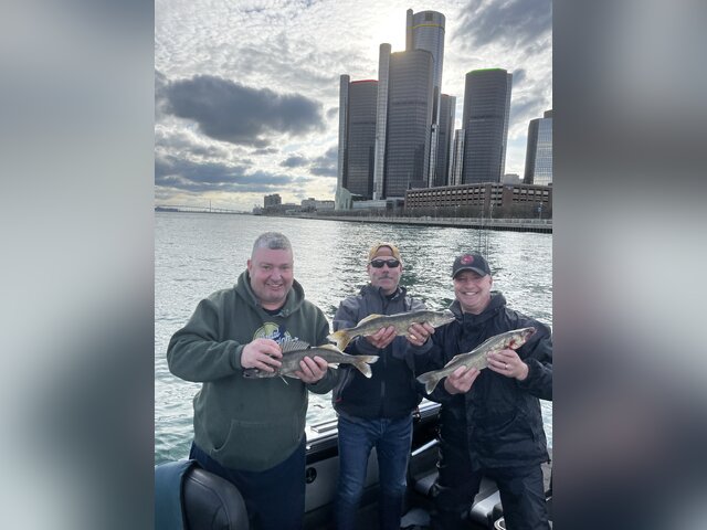 Listing image 1189001