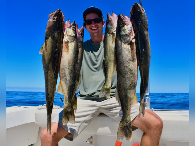 Listing image 930523