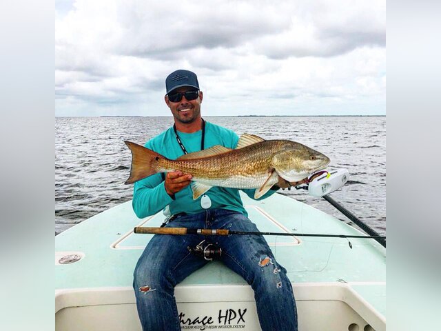 Listing image 287958