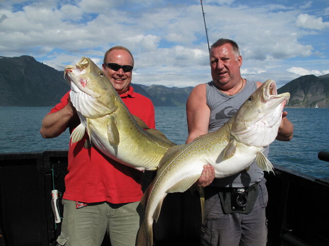 Listing image 291804