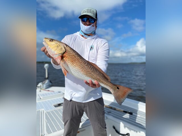 Listing image 1032995