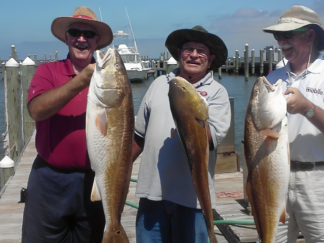 Listing image 845924