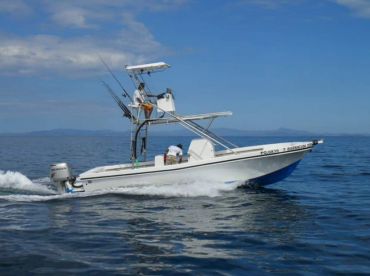 The Brother Alex Tour thumbnail