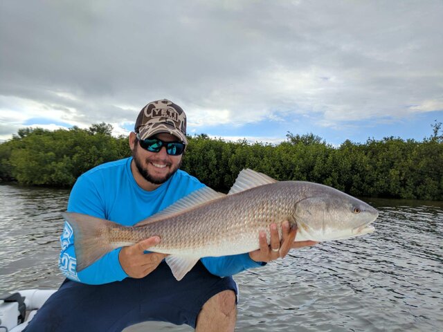 Listing image 292625