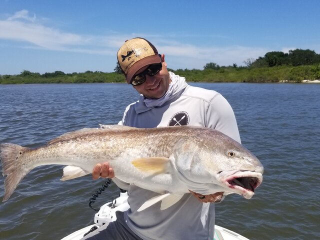 Listing image 293784