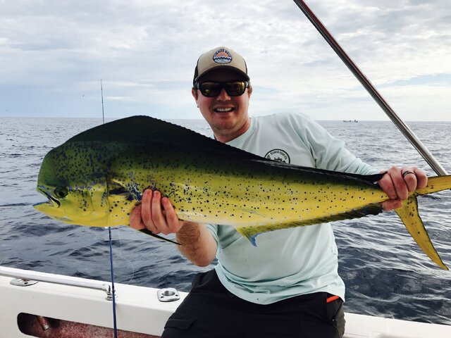 Listing image 298072