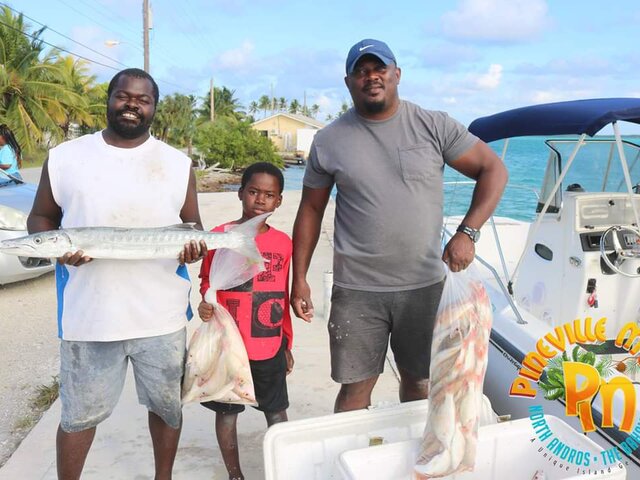 Listing image 295891