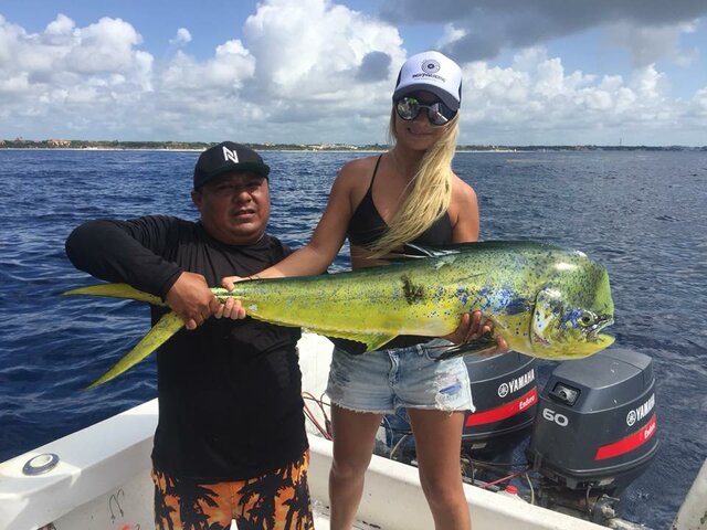 Listing image 297328