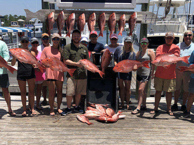 Listing image 392342