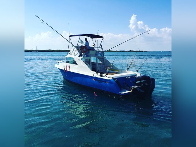 Listing image 298078