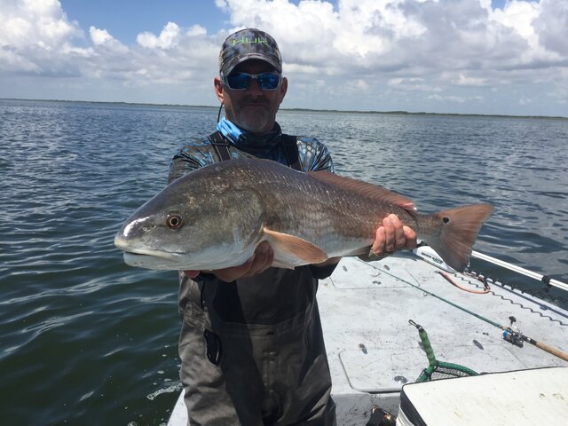 Listing image 298381