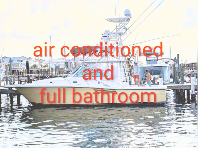 Listing image 1360643